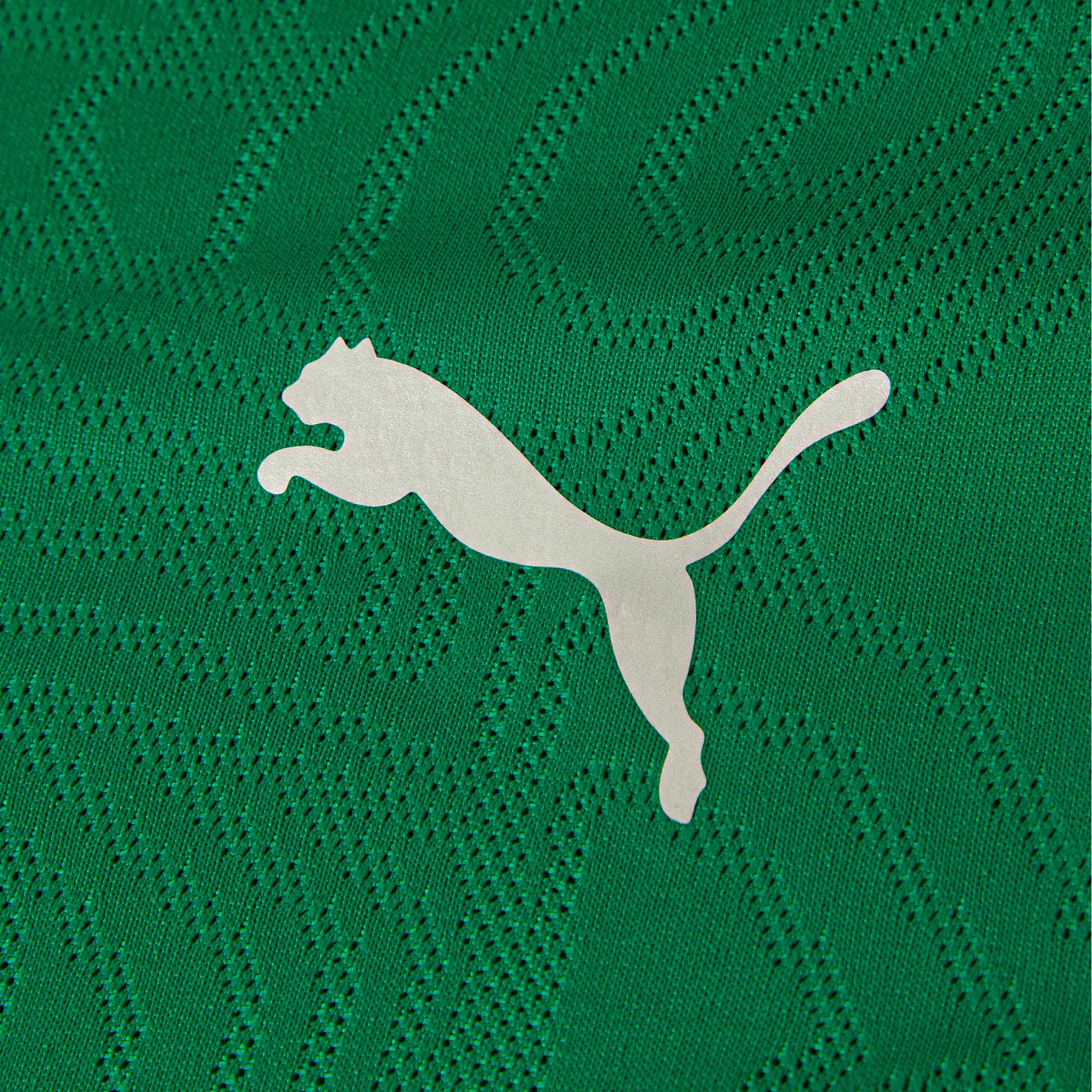 Camisa Treino Puma Fluminense 2026/27 Verde