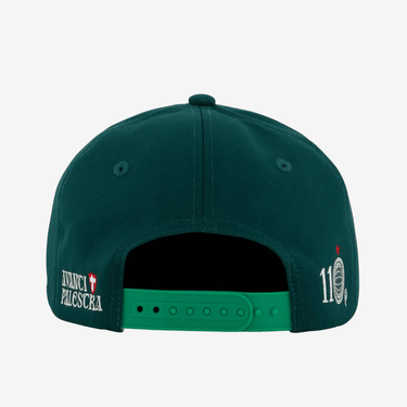 Boné Palmeiras Edição Limitada 110 Anos - [product_category] | Arquibancada Esportes