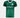 Camisa Puma Palmeiras 2025/26 I Jogador