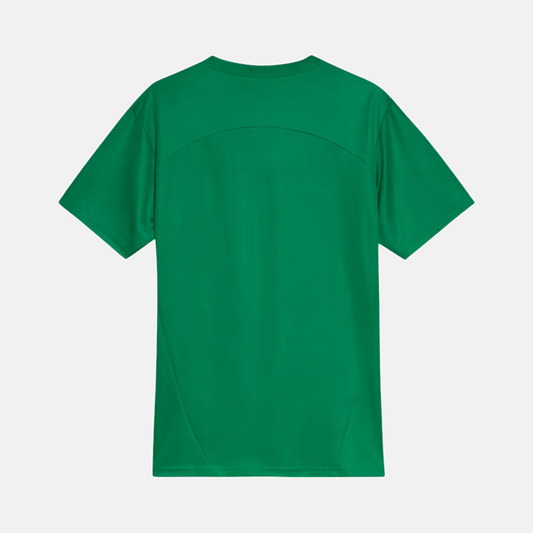 Camisa Palmeiras 2025 – Treino — imagem 2