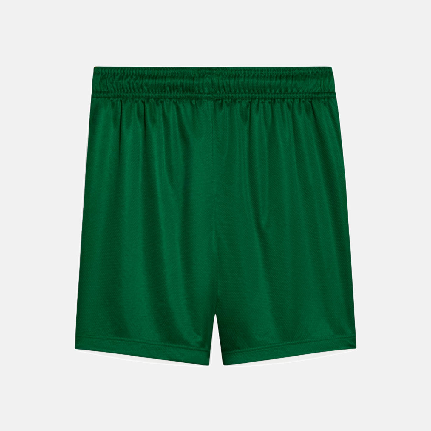 Shorts Palmeiras 2025 II – Torcedor